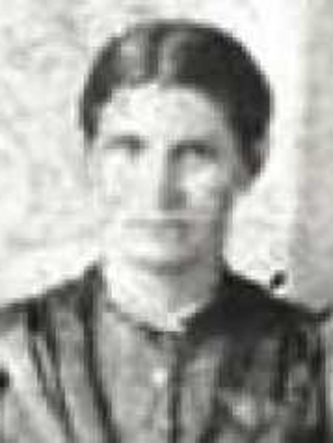 Clarissa Elizabeth Alger (1855 - 1928) Profile